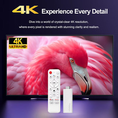 Stick Tv H313 Android 14 4K Wifi6 BT5.0 con Assistente Google AI