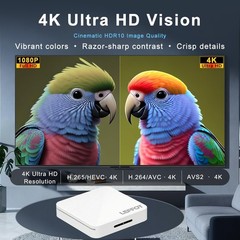 Android 14.0 TV Box 2026, 2GB RAM + 16GB ROM, LEFFOT H313 4K Ultra HD Streami…