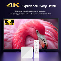 H96 MAX H313 Smart TV Box Android 14 Quad Core ARM Cortex A53 Wifi6 4K Google Vo