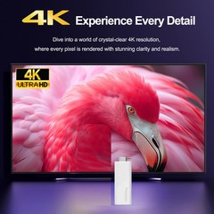 H96 MAX Android TV Stick Allwinner H313 with Wifi 2.4G 5G Wifi6 Dual Brand 8GB