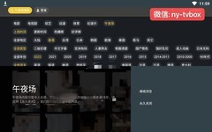 安博HM中文电视盒Chinese TV Box、CCTV、卫视、成人台、港澳台 (4+64GB)。最新凹凸视频、电影、连续剧全都永久观看。微信nytvbox2