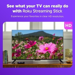 Roku Streaming Stick HD 2025 — HD Streaming Device for TV with Roku Voice Remote