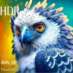 NEW Team8K Media Player UHD⚡Premium Upgraded⚡VIP Rec⚡vs. super vc box s7 ultra