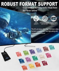 Versatile 4K Video Player with USB & SD Support – Ideal for Home & Signage Use
