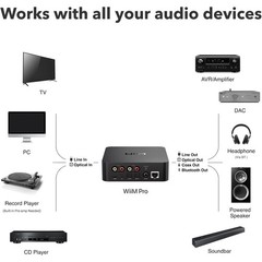 WiiM Pro AirPlay 2 Receiver Google Cast Audio WiFi Multiroom Streamer Hi-Res