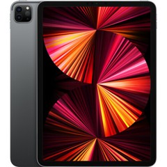 Apple 11″ iPad Pro M1 Chip 3rd Gen (Mid 2021, 512GB, Wi-Fi Only, Space Gray)