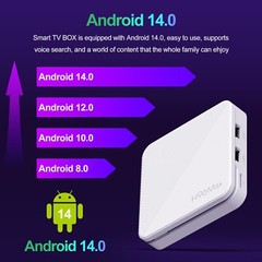 H96 MAX H313 Smart TV Box Android 14 ATV TV Box 4K@60fps 100M/LAN Wifi6 BT5.0