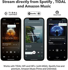 Pro Airplay 2 Receiver, Google Cast Audio, Wifi Multiroom Streamer, Compatible w