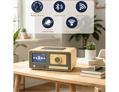 NIB Ocean Digital WR-393 WiFi Internet Radio with FM, Podcast, Bluetooth Speaker
