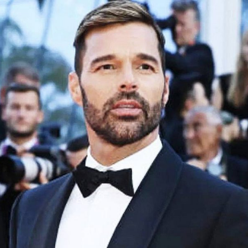 Ricky Martin insiste en que las alegaciones de violencia doméstica son «totalmente falsas»