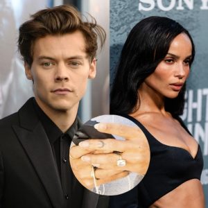 Harry Styles ya no está disponible